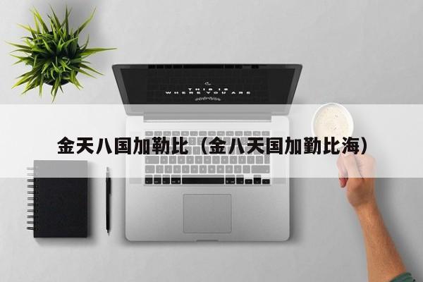 金天八国加勒比（金八天国加勤比海）