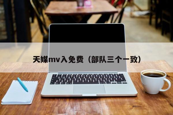 天媒mv入免费（部队三个一致）