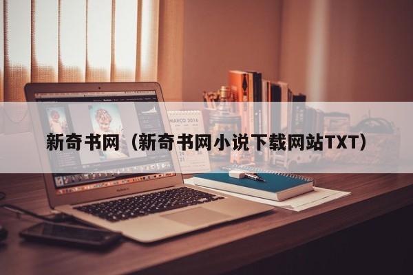 新奇书网（新奇书网小说下载网站TXT）