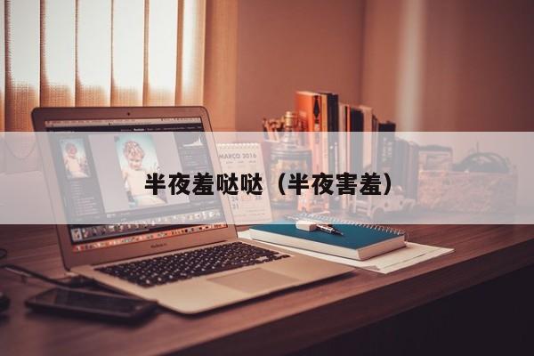半夜羞哒哒（半夜害羞）
