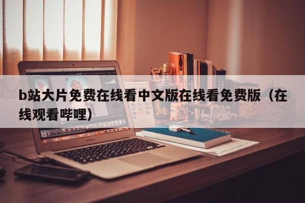 b站大片免费在线看中文版在线看免费版（在线观看哔哩）