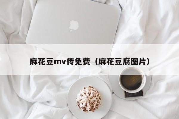 麻花豆mv传免费（麻花豆腐图片）