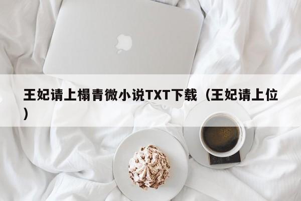 王妃请上榻青微小说TXT下载（王妃请上位）