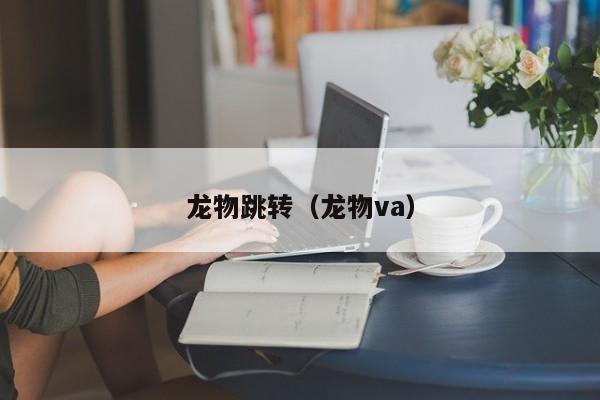 龙物跳转（龙物va）