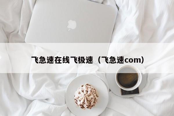 飞急速在线飞极速（飞急速com）